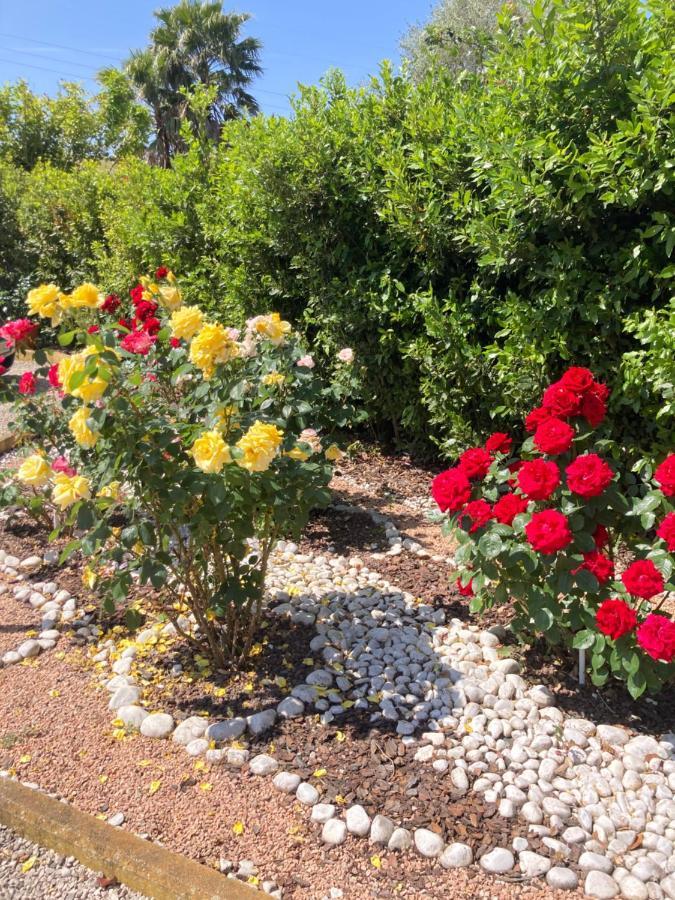 La Rosa Del Lago Bracciano  Exteriör bild