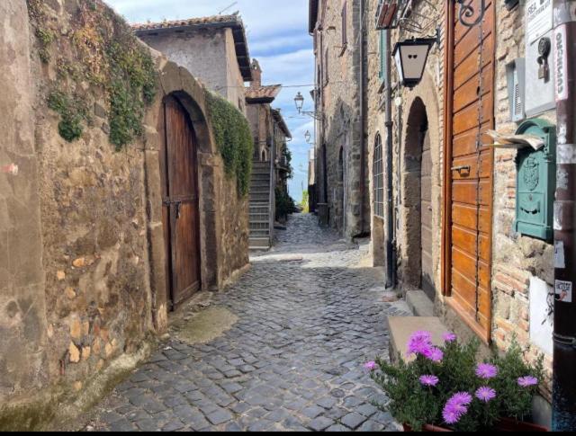La Rosa Del Lago Bracciano  Exteriör bild