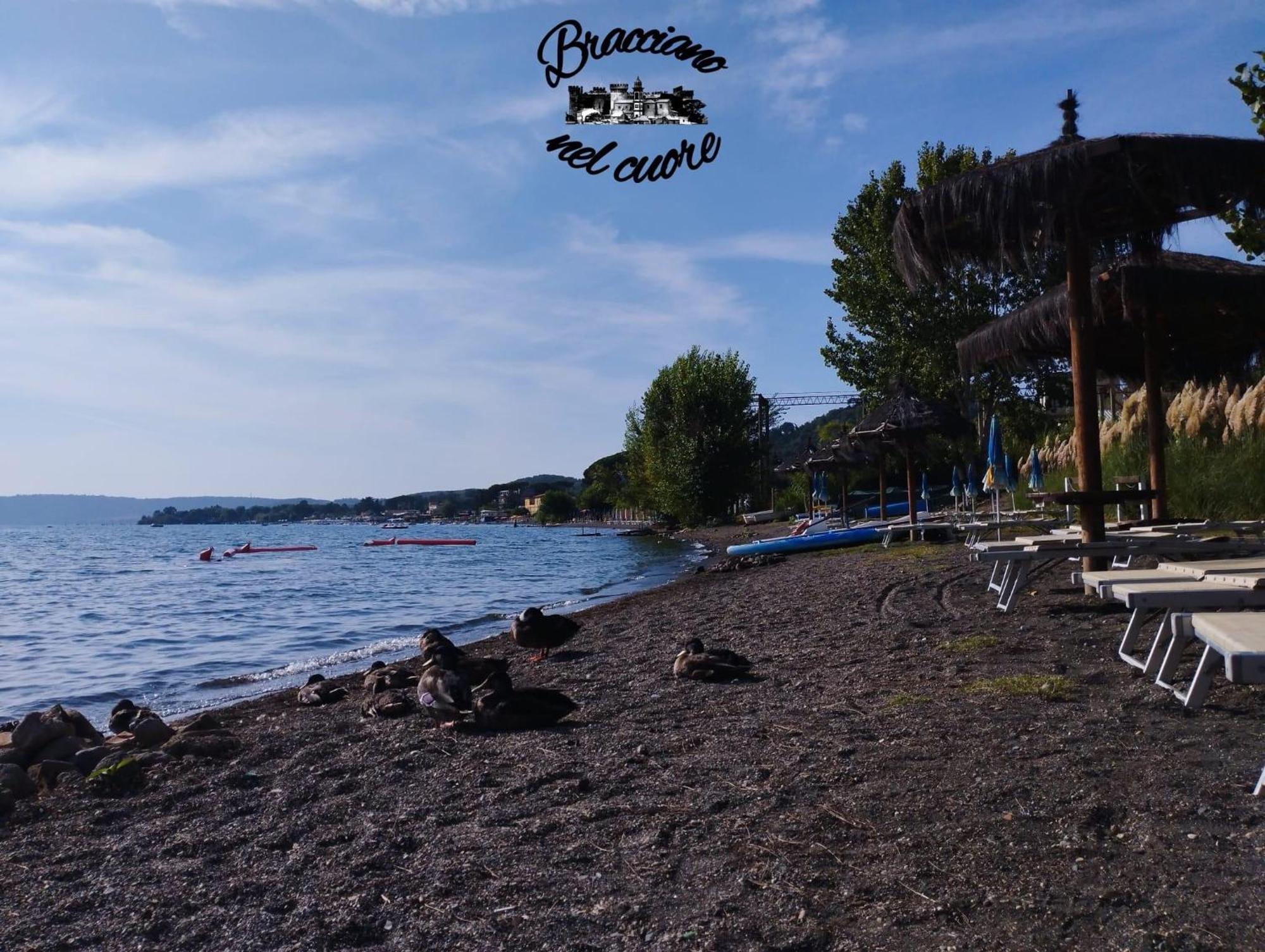 La Rosa Del Lago Bracciano  Exteriör bild