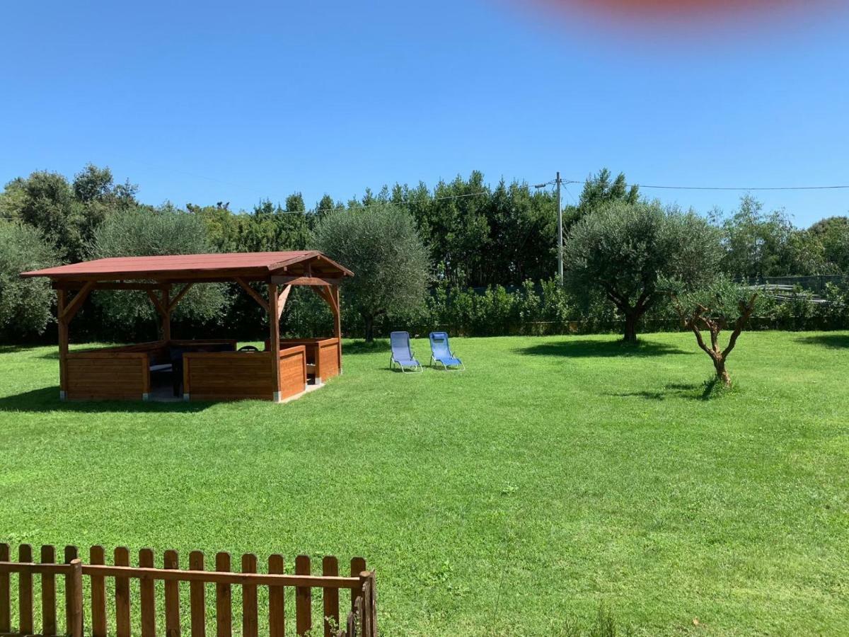 La Rosa Del Lago Bracciano  Exteriör bild