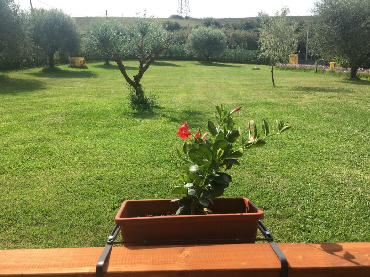 La Rosa Del Lago Bracciano  Exteriör bild