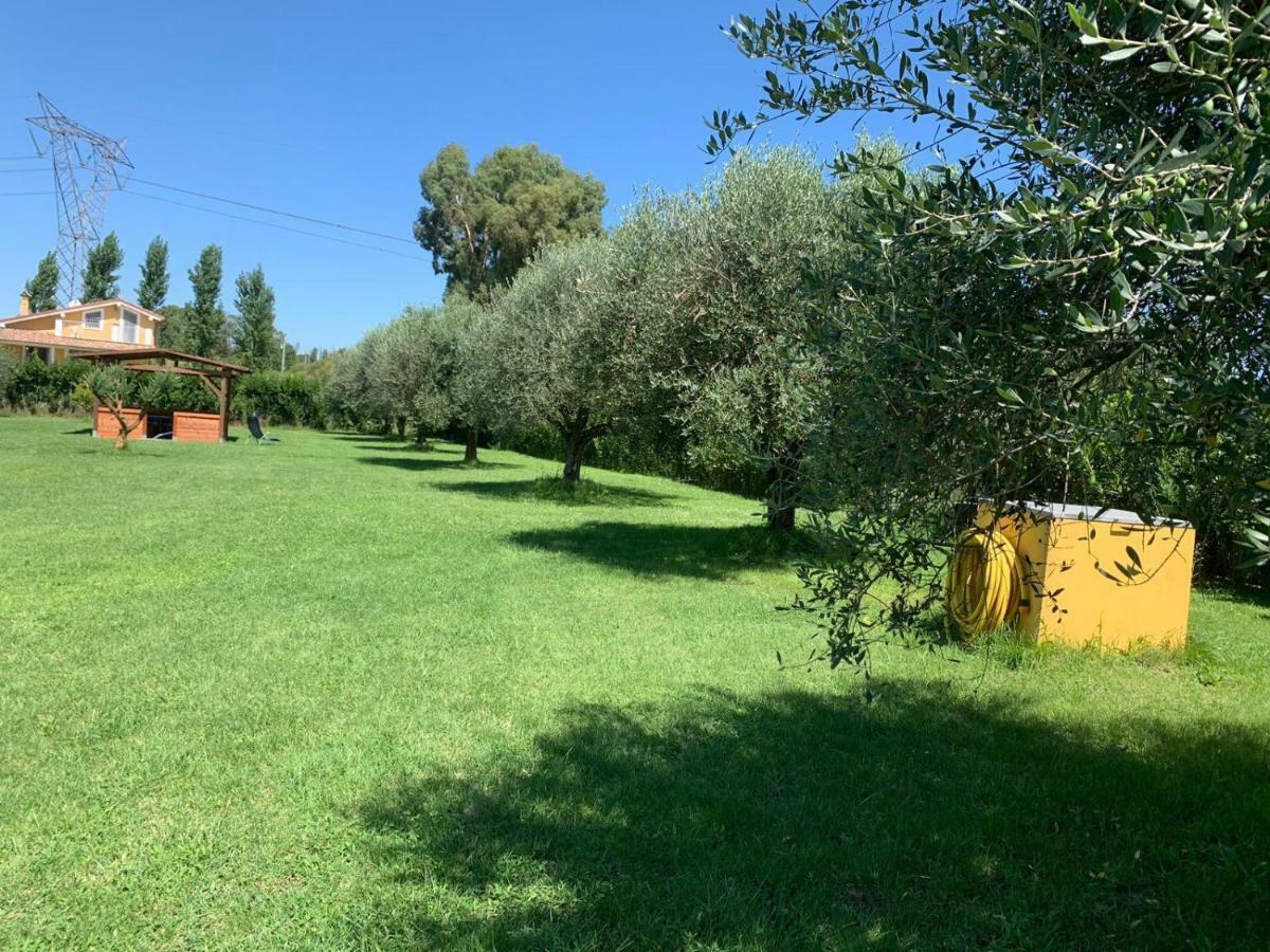 La Rosa Del Lago Bracciano  Exteriör bild